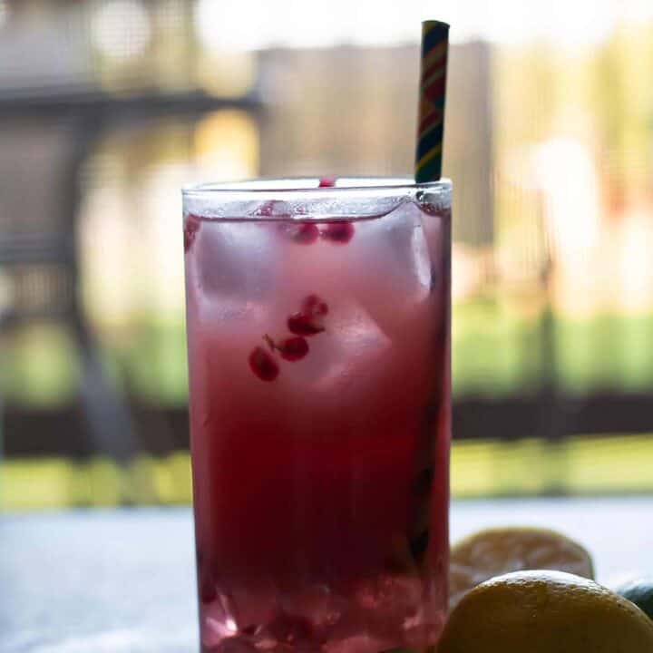 pomegranate spritzer in a glass