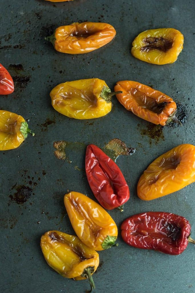 Mini baby peppers are roasted in baking tray, and ready to serve.