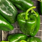 These are handpicked poblano substitutes listed for your convenience to make your stuffed pepper, salsa, or stew more original as possible. 