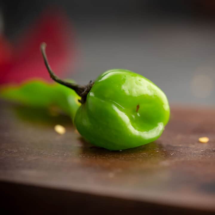Scotch bonnet pepper has a fiery heat and is the hot chili pepper. It originated from the Jamaica and later turned popular around the world.