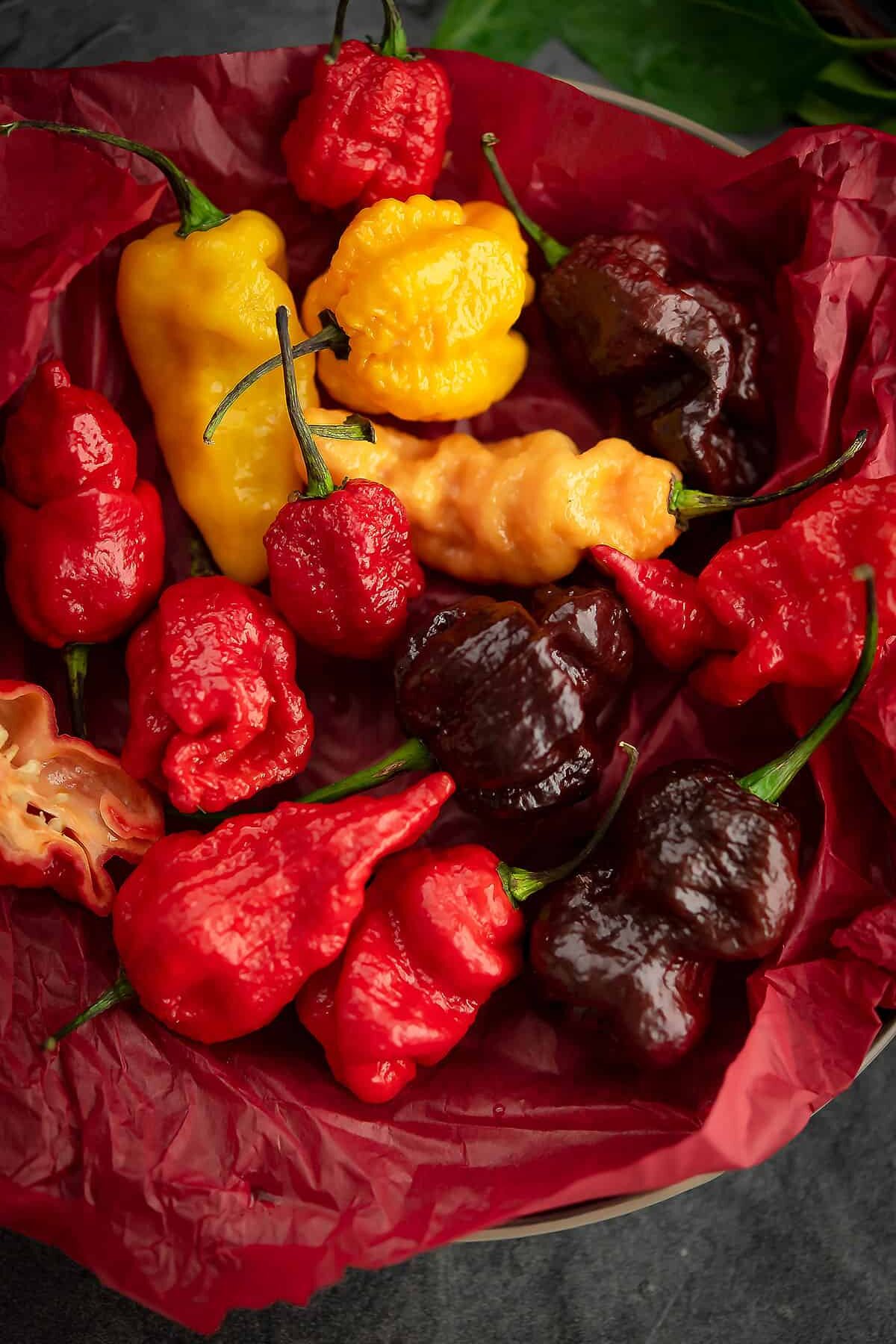 hot peppers in a basket