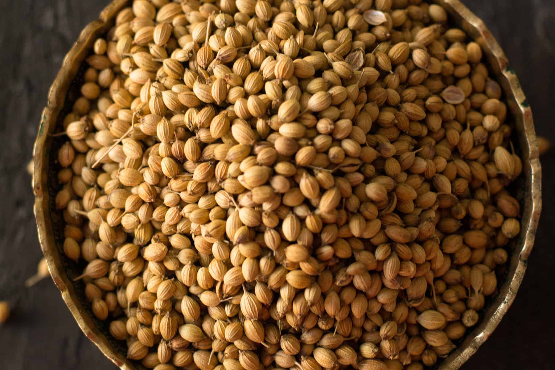 coriander seeds in a decorative bowl to know about what spices in a curry
