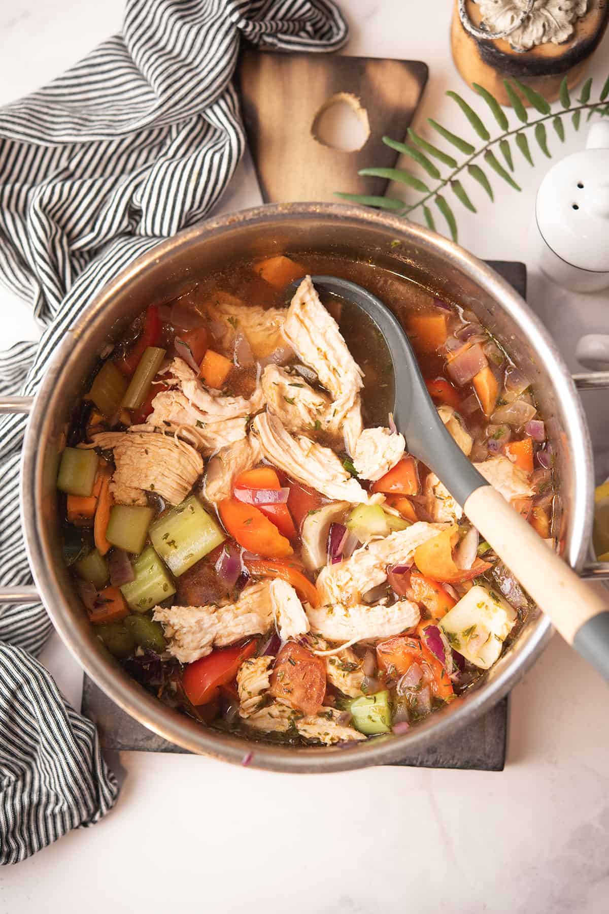 paprika chicken soup in a large pot