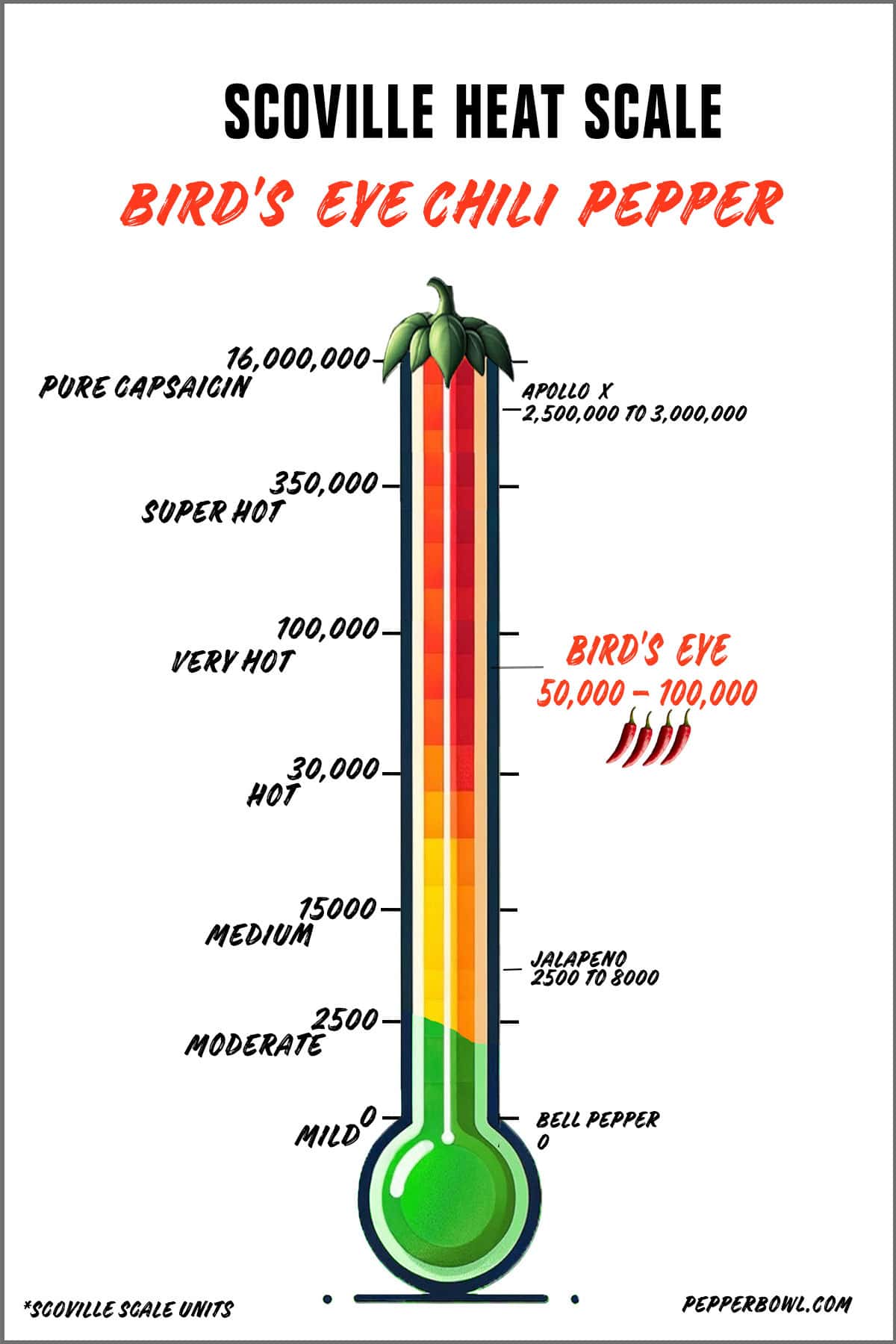 Illustration of the birds eye chili pepper in the Scoville scale, representing its  hot heat intensity.