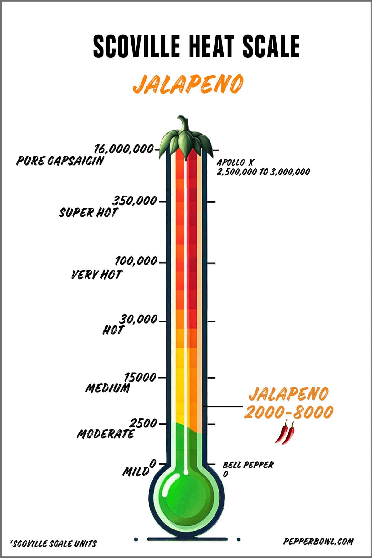 Illustration of the jalapeno in the Scoville scale, representing its heat intensity.