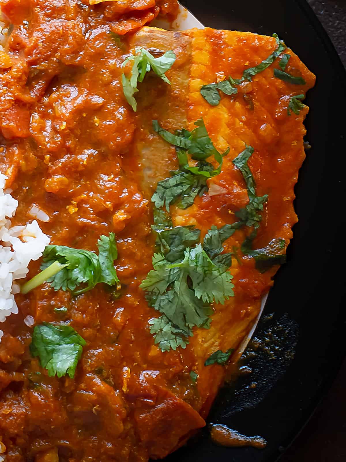 indian salmon curry garnished with coriander leaves