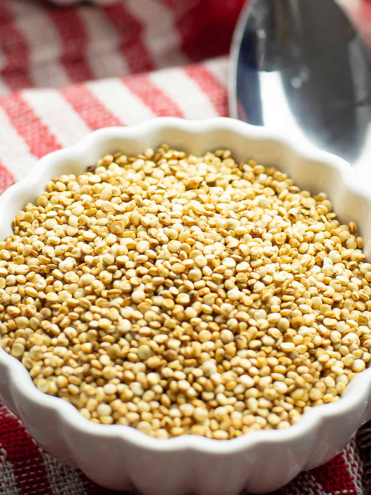 popped quinoa in a white bowl