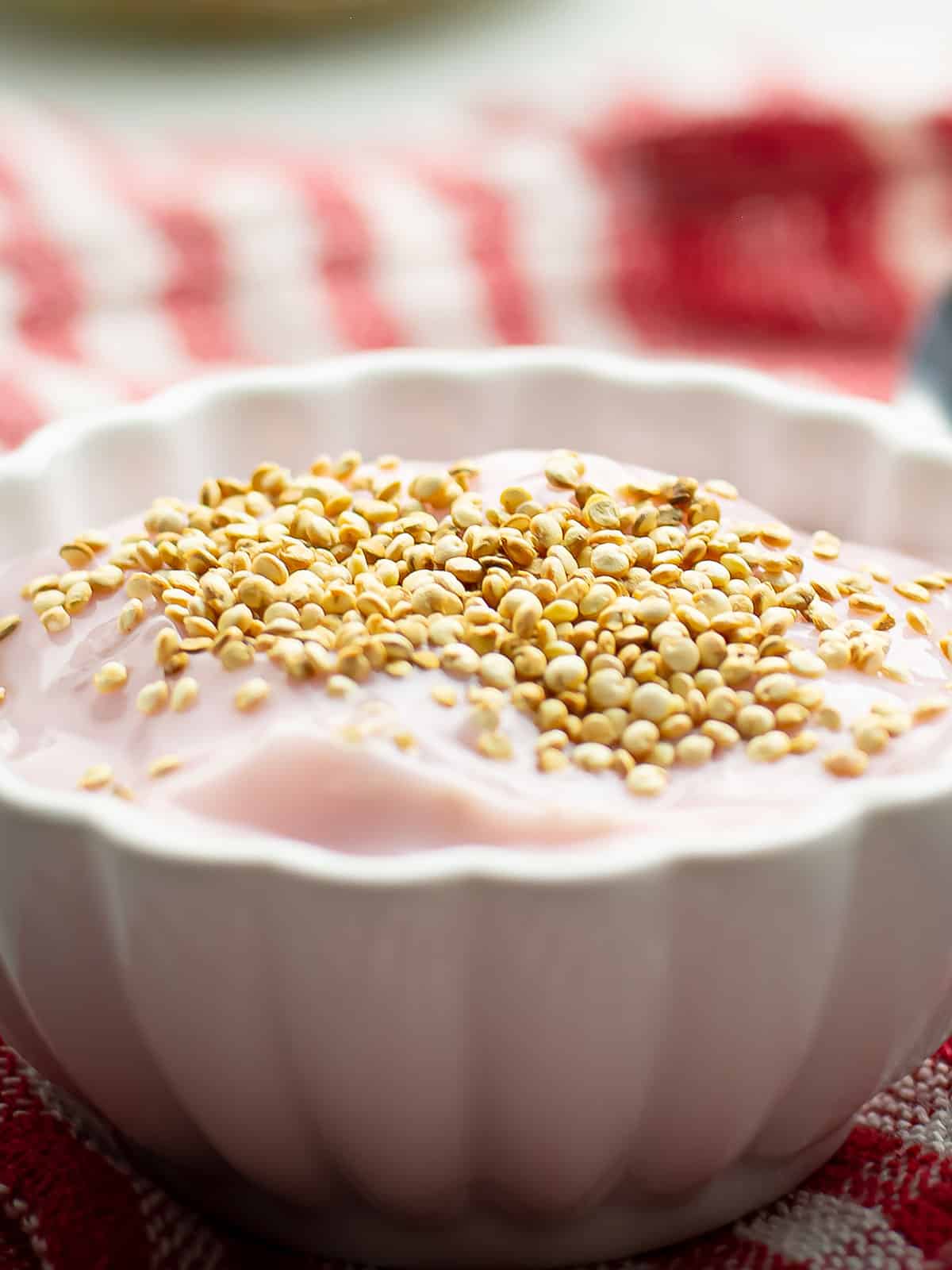 creamy yogurt was topped with popped quinoa for the breakfast