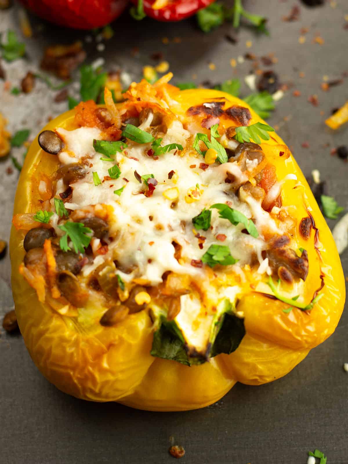 lentil stuffed peppers a close up view with bubbling cheese and garnished with cilantro