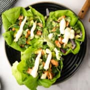 salmon lettuce wraps drizzled with spiced sauce, and served in a plate.