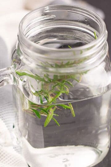 rosemary tea served in a glass and garnished with fresh rosemary leaves