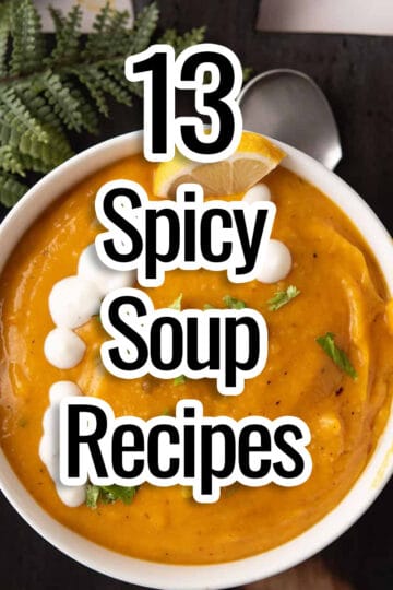 spicy soup recipes in the bold font with the bowl of soup and a spoon