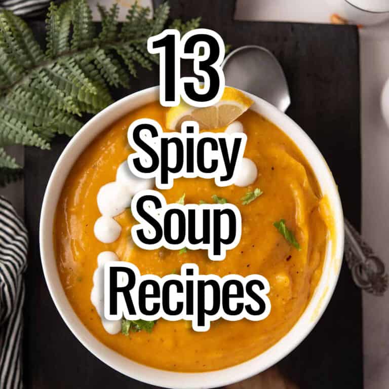 spicy soup recipes in the bold font with the bowl of soup and a spoon