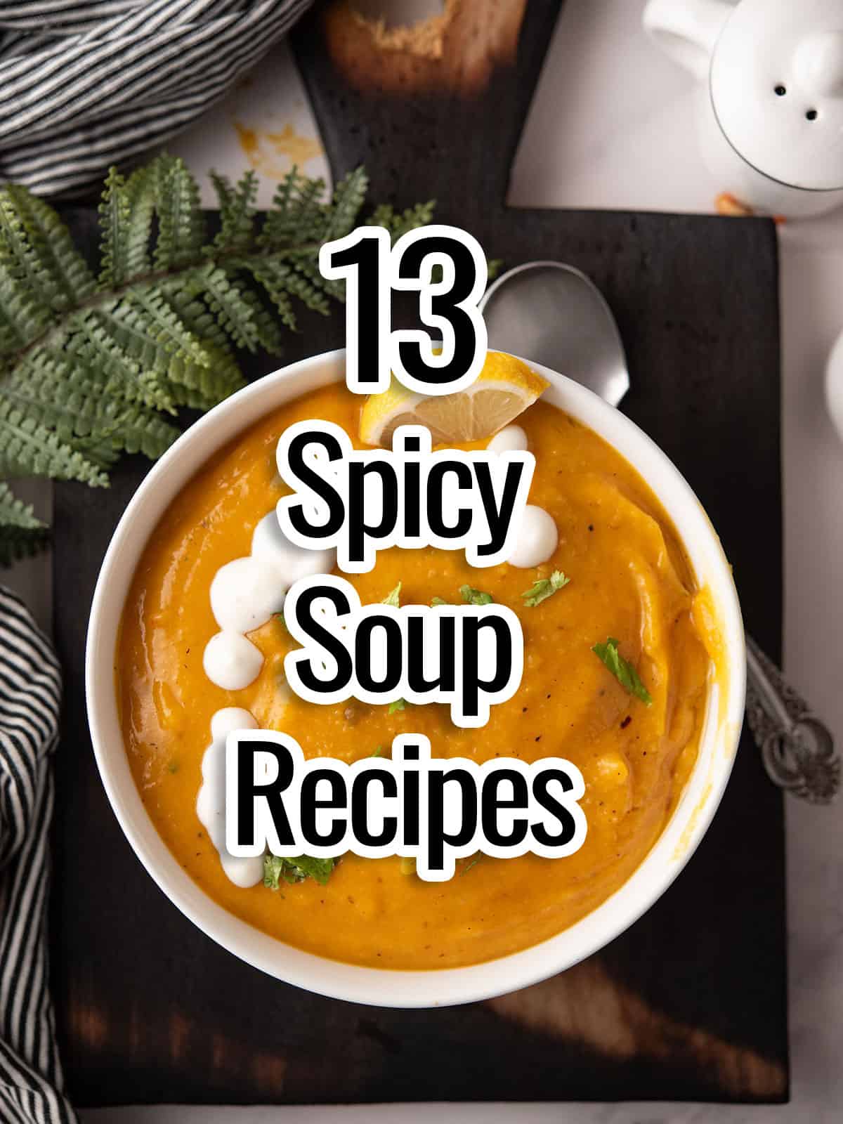 the text-spicy soup recipes- in the soup bowl on the background