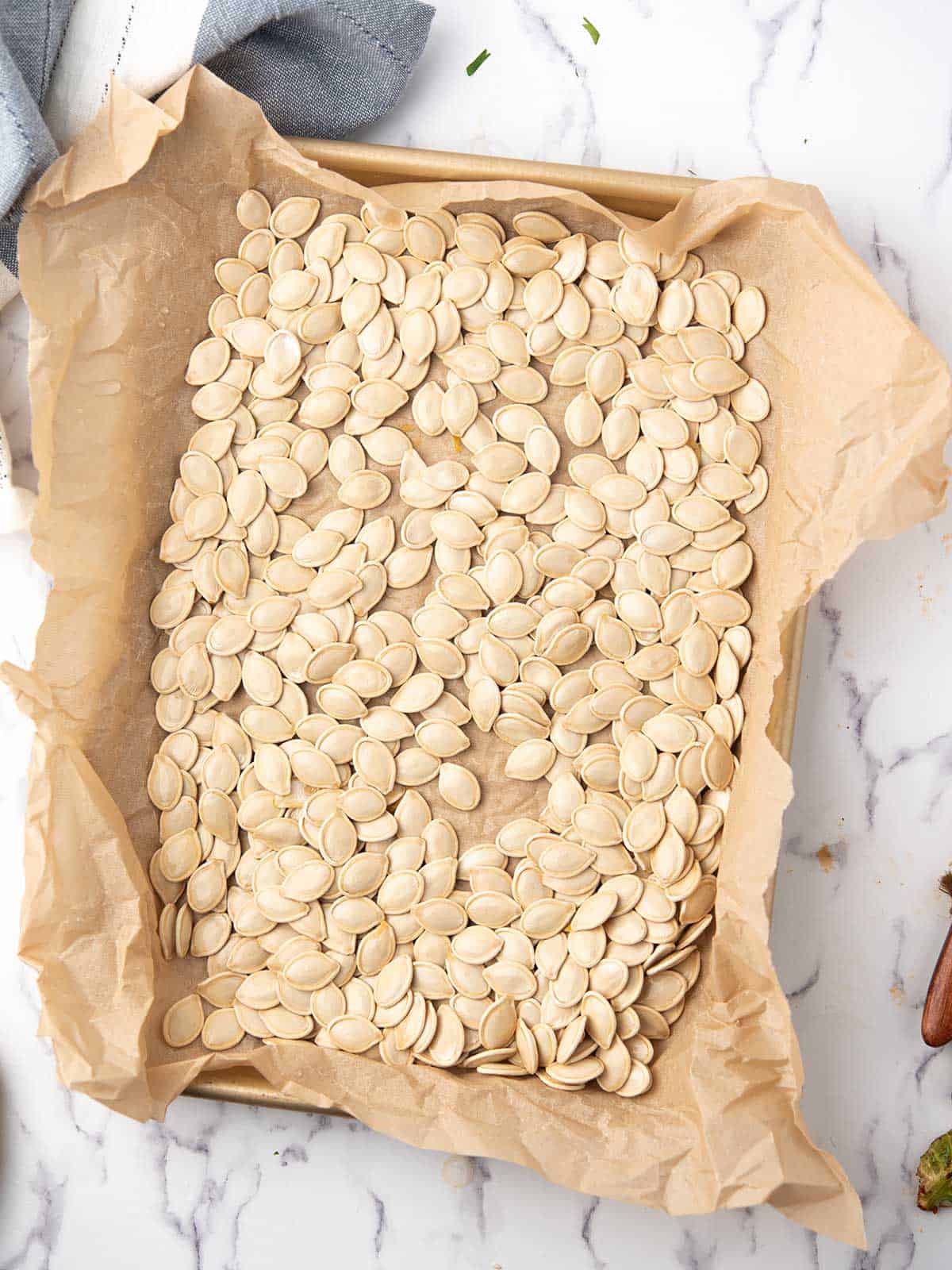 Cleaned raw pumpkin seeds spread across a parchment-lined baking sheet.